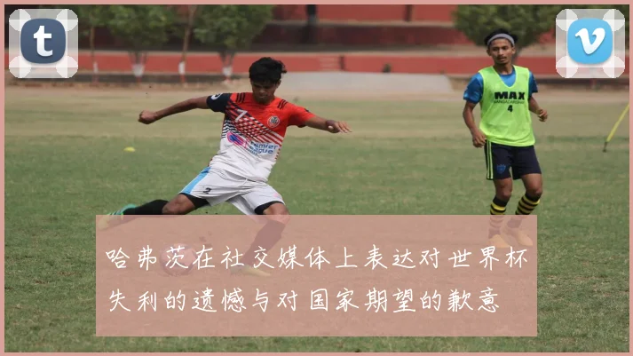 哈弗茨在社交媒体上表达对世界杯失利的遗憾与对国家期望的歉意