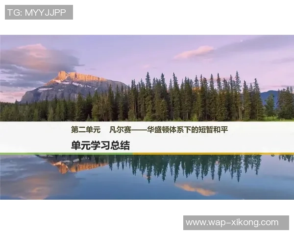 关于2017年历史问题处罚的公告及其影响分析与后续措施探讨